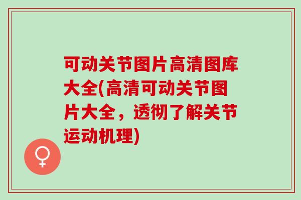 可动关节图片高清图库大全(高清可动关节图片大全，透彻了解关节运动机理)