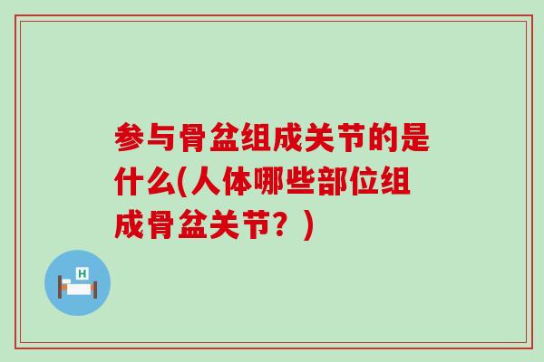 参与骨盆组成关节的是什么(人体哪些部位组成骨盆关节？)