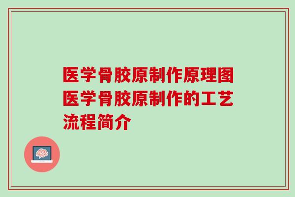 医学骨胶原制作原理图医学骨胶原制作的工艺流程简介