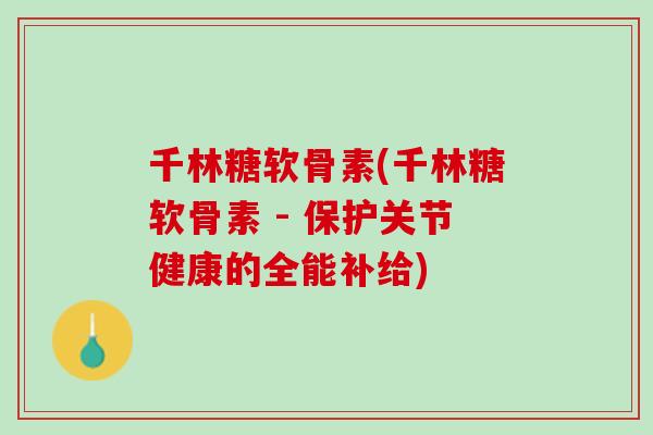 千林糖软骨素(千林糖软骨素 - 保护关节健康的全能补给)