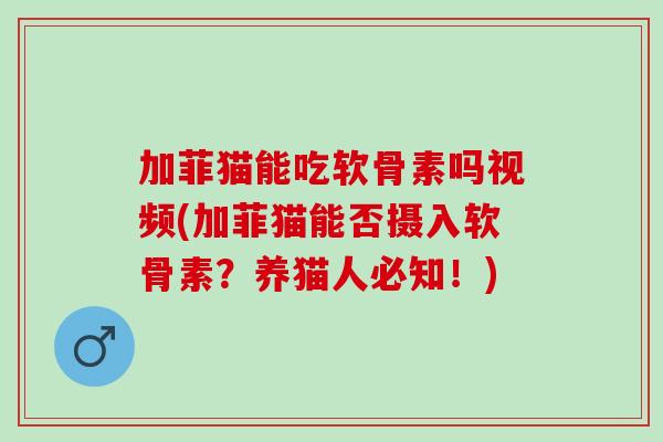 加菲猫能吃软骨素吗视频(加菲猫能否摄入软骨素？养猫人必知！)
