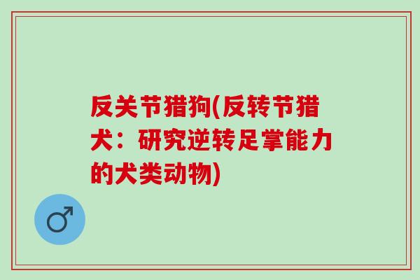 反关节猎狗(反转节猎犬：研究逆转足掌能力的犬类动物)