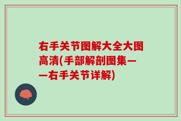 右手关节图解大全大图高清(手部解剖图集——右手关节详解)