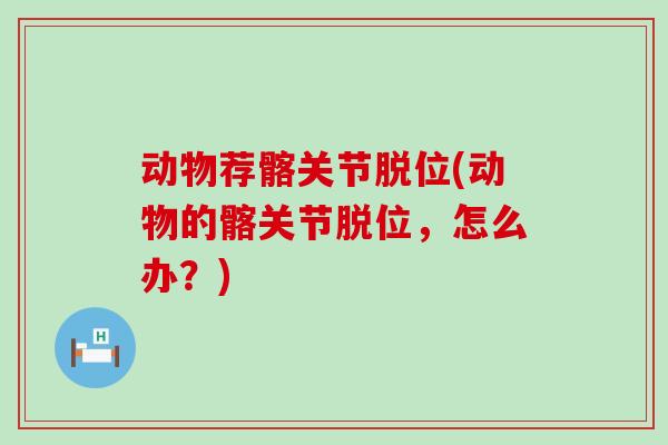 动物荐髂关节脱位(动物的髂关节脱位,怎么办?) 动物荐髂关节脱位(动物的髂关节脱位,怎么办?)