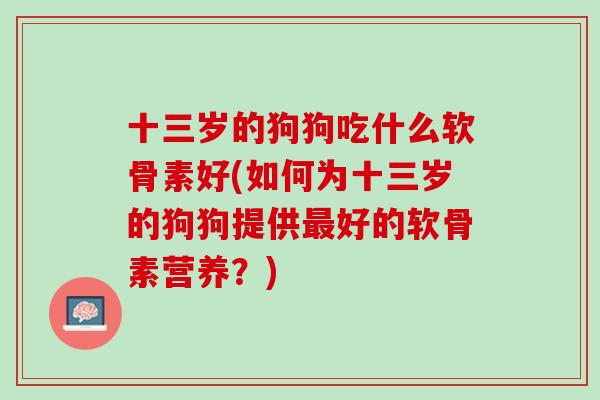 十三岁的狗狗吃什么软骨素好(如何为十三岁的狗狗提供最好的软骨素营养？)