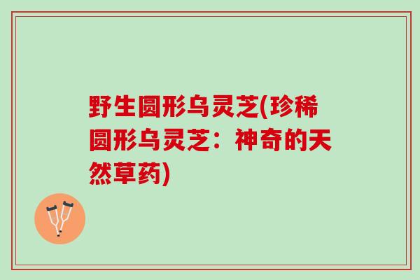 野生圆形乌灵芝(珍稀圆形乌灵芝：神奇的天然草药)