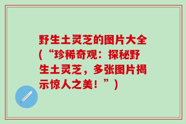野生土灵芝的图片大全(“珍稀奇观：探秘野生土灵芝，多张图片揭示惊人之美！”)