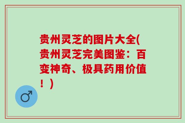 贵州灵芝的图片大全(贵州灵芝完美图鉴：百变神奇、极具药用价值！)