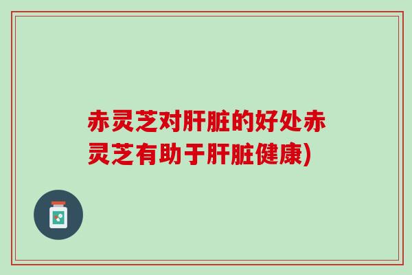 赤灵芝对肝脏的好处赤灵芝有助于肝脏健康)