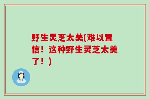 野生灵芝太美(难以置信！这种野生灵芝太美了！)