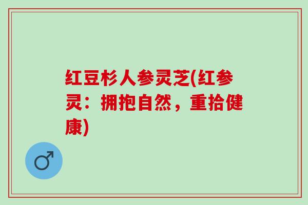 红豆杉人参灵芝(红参灵：拥抱自然，重拾健康)
