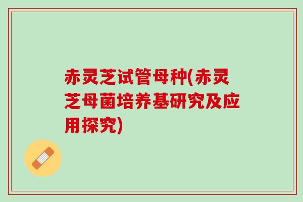 赤灵芝试管母种(赤灵芝母菌培养基研究及应用探究)