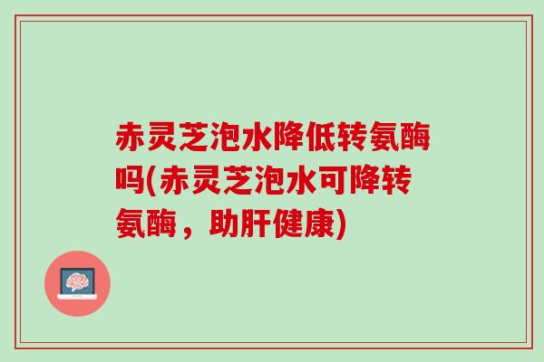 赤灵芝泡水降低转氨酶吗(赤灵芝泡水可降转氨酶,助健康) 赤灵芝泡水降低转氨酶吗(赤灵芝泡水可降转氨酶,助健康)