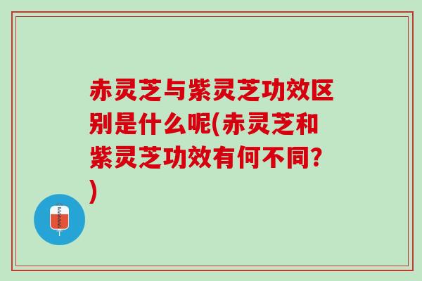 赤灵芝与紫灵芝功效区别是什么呢(赤灵芝和紫灵芝功效有何不同?) 赤灵芝与紫灵芝功效区别是什么呢(赤灵芝和紫灵芝功效有何不同?)