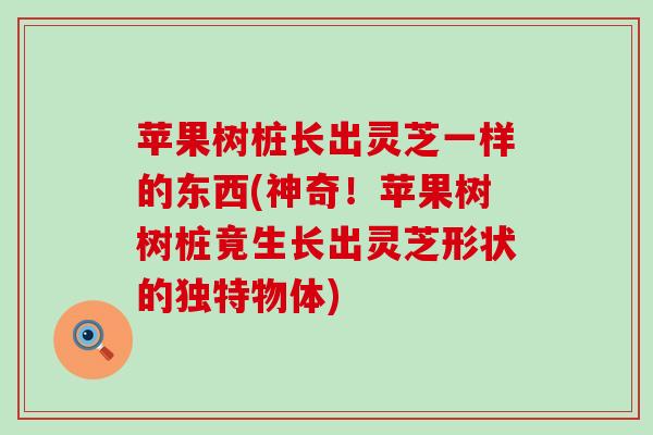 苹果树桩长出灵芝一样的东西(神奇！苹果树树桩竟生长出灵芝形状的独特物体)