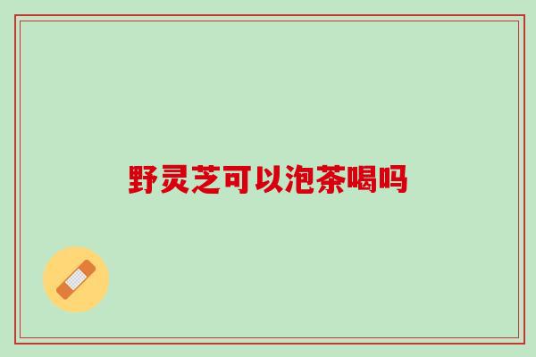 野灵芝可以泡茶喝吗