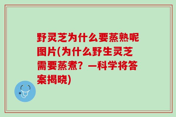 野灵芝为什么要蒸熟呢图片(为什么野生灵芝需要蒸煮？—科学将答案揭晓)
