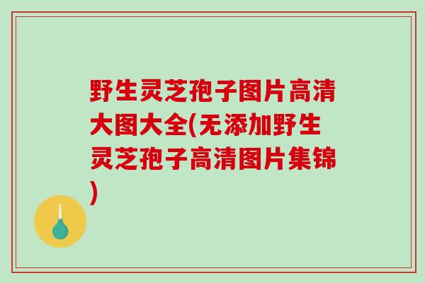 野生灵芝孢子图片高清大图大全(无添加野生灵芝孢子高清图片集锦)