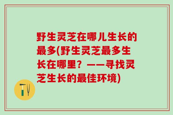 野生灵芝在哪儿生长的最多(野生灵芝最多生长在哪里？——寻找灵芝生长的最佳环境)