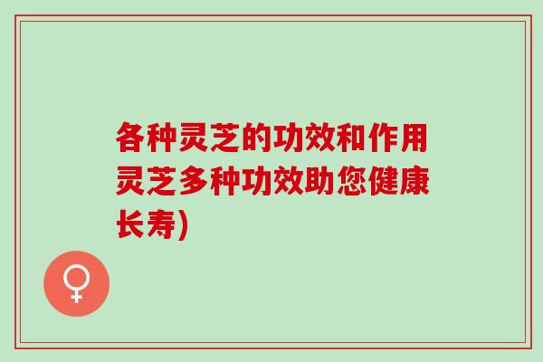 各种灵芝的功效和作用灵芝多种功效助您健康长寿)