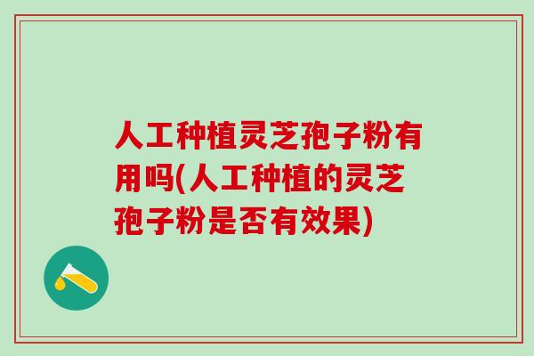 人工种植灵芝孢子粉有用吗(人工种植的灵芝孢子粉是否有效果)