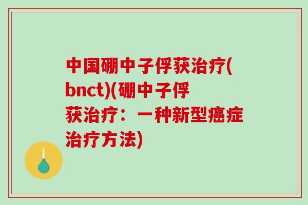 中国硼中子俘获治疗(bnct)(硼中子俘获治疗：一种新型癌症治疗方法)