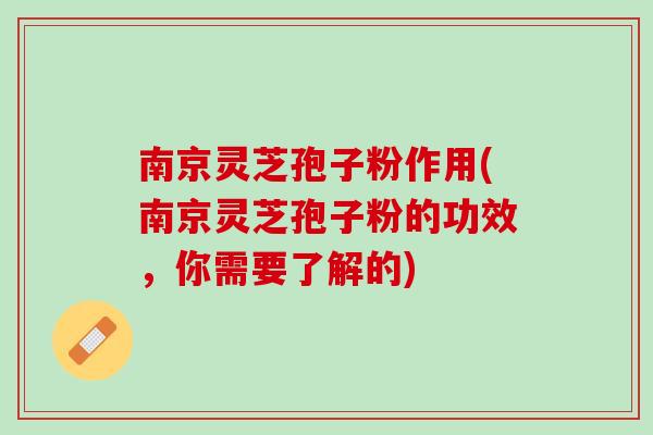 南京灵芝孢子粉作用(南京灵芝孢子粉的功效，你需要了解的)