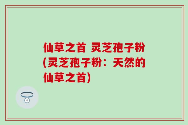 仙草之首 灵芝孢子粉(灵芝孢子粉：天然的仙草之首)