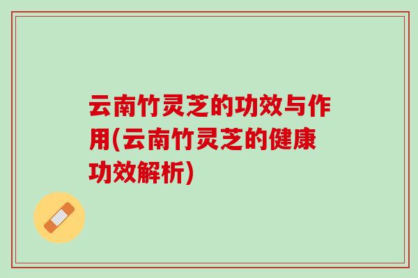 云南竹灵芝的功效与作用(云南竹灵芝的健康功效解析)