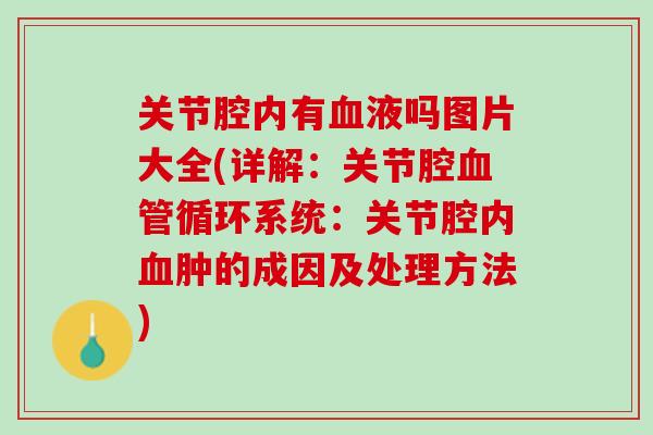 关节腔内有血液吗图片大全(详解：关节腔血管循环系统：关节腔内血肿的成因及处理方法)