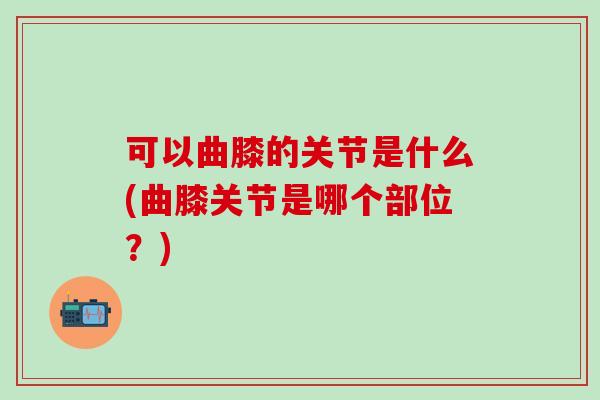 可以曲膝的关节是什么(曲膝关节是哪个部位？)