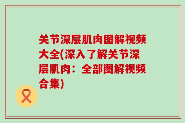 关节深层肌肉图解视频大全(深入了解关节深层肌肉：全部图解视频合集)