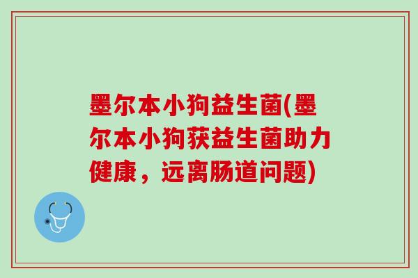 墨尔本小狗益生菌(墨尔本小狗获益生菌助力健康，远离肠道问题)