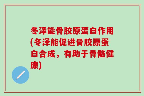 冬泽能骨胶原蛋白作用(冬泽能促进骨胶原蛋白合成，有助于骨骼健康)