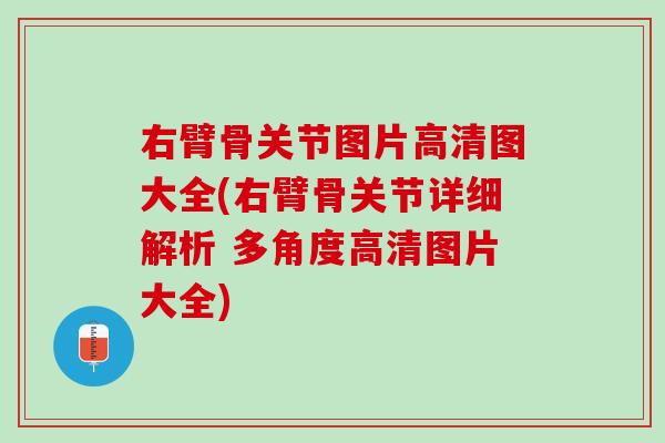 右臂骨关节图片高清图大全(右臂骨关节详细解析 多角度高清图片大全)
