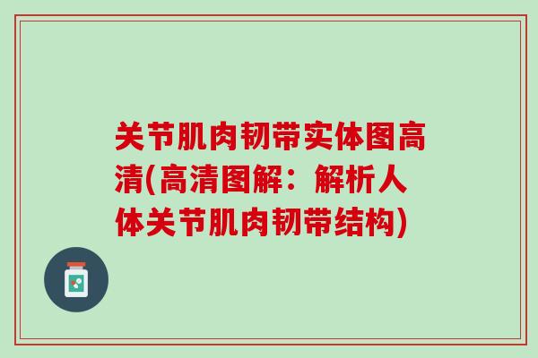 关节肌肉韧带实体图高清(高清图解：解析人体关节肌肉韧带结构)