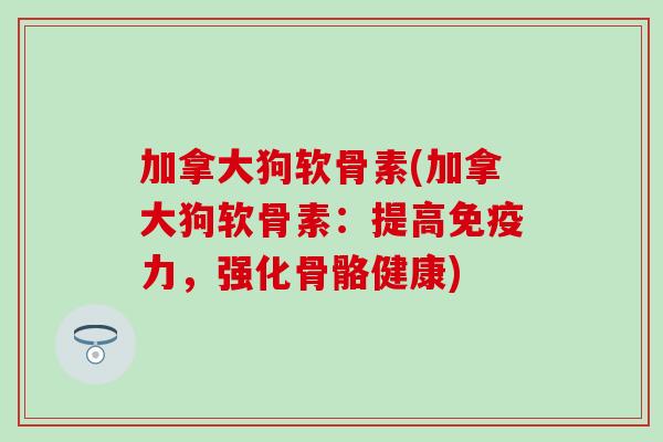 加拿大狗软骨素(加拿大狗软骨素：提高免疫力，强化骨骼健康)
