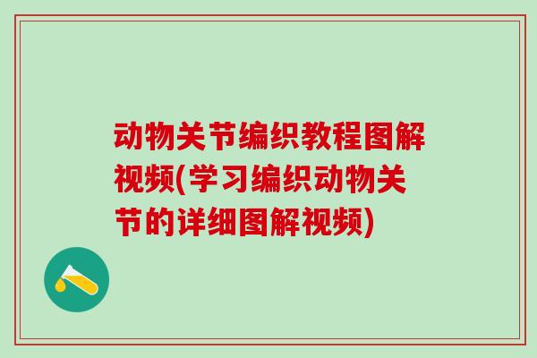 动物关节编织教程图解视频(学习编织动物关节的详细图解视频)