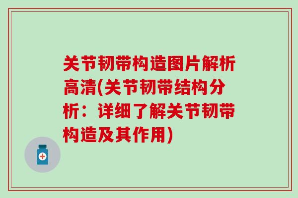 关节韧带构造图片解析高清(关节韧带结构分析：详细了解关节韧带构造及其作用)
