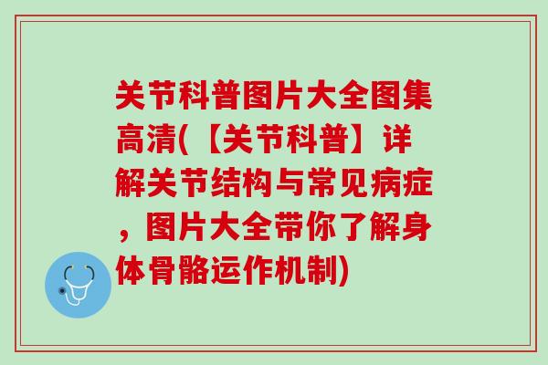 关节科普图片大全图集高清(【关节科普】详解关节结构与常见症,图片大全带你了解身体骨骼运作机制) 关节科普图片大全图集高清(【关节科普】详解关节结构与常见症,图片大全带你了解身体骨骼运作机制)