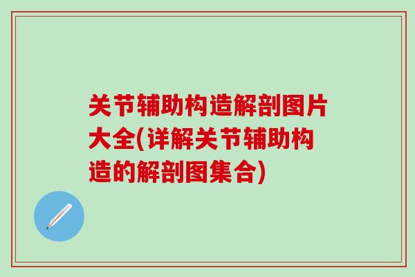 关节辅助构造解剖图片大全(详解关节辅助构造的解剖图集合)