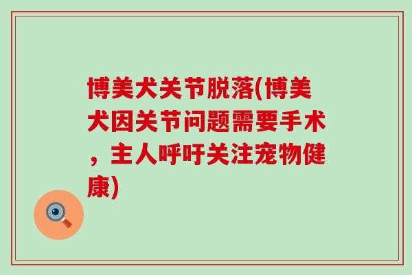 博美犬关节脱落(博美犬因关节问题需要手术，主人呼吁关注宠物健康)