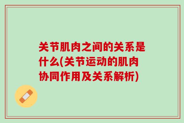 关节肌肉之间的关系是什么(关节运动的肌肉协同作用及关系解析)