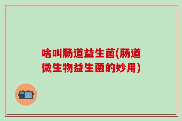 啥叫肠道益生菌(肠道微生物益生菌的妙用)