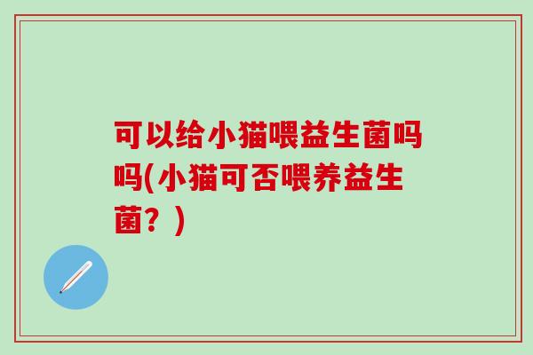 可以给小猫喂益生菌吗吗(小猫可否喂养益生菌？)
