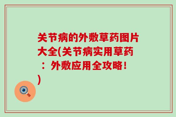 关节病的外敷草药图片大全(关节病实用草药 ：外敷应用全攻略！)