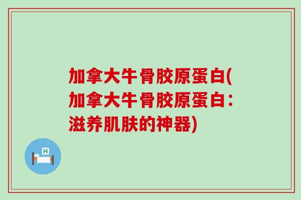 加拿大牛骨胶原蛋白(加拿大牛骨胶原蛋白：滋养肌肤的神器)