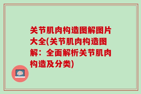关节肌肉构造图解图片大全(关节肌肉构造图解：全面解析关节肌肉构造及分类)