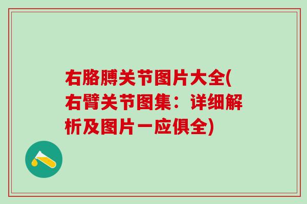 右胳膊关节图片大全(右臂关节图集：详细解析及图片一应俱全)