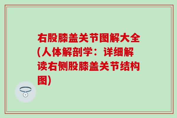 右股膝盖关节图解大全(人体解剖学：详细解读右侧股膝盖关节结构图)